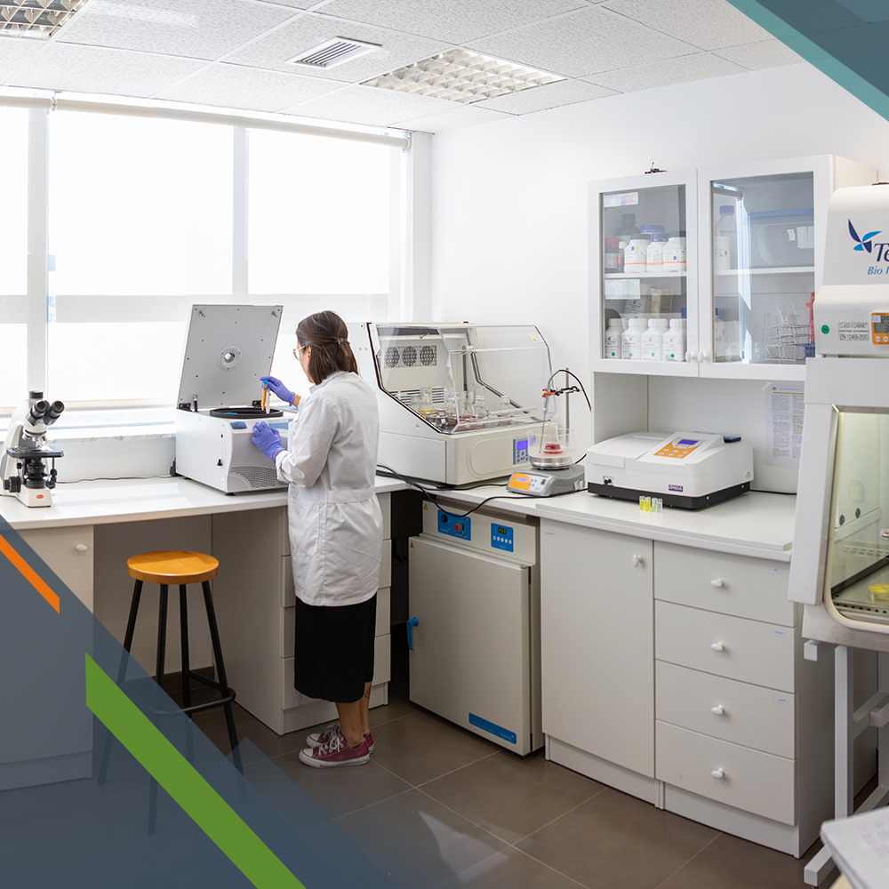 Innovación y sostenibilidad en CETEM: avances en poliuretano biobasado y economía circular