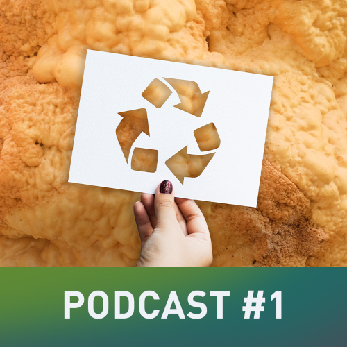 Podcast 01: Conociendo RECIPOL